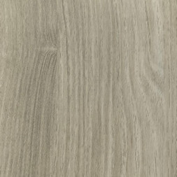 Акация Европейская (Светлая)