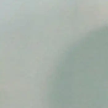 Роялвуд Голубой Вегас - 13 (1600 мм)